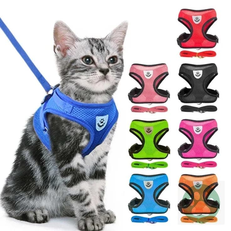 Cat Harness